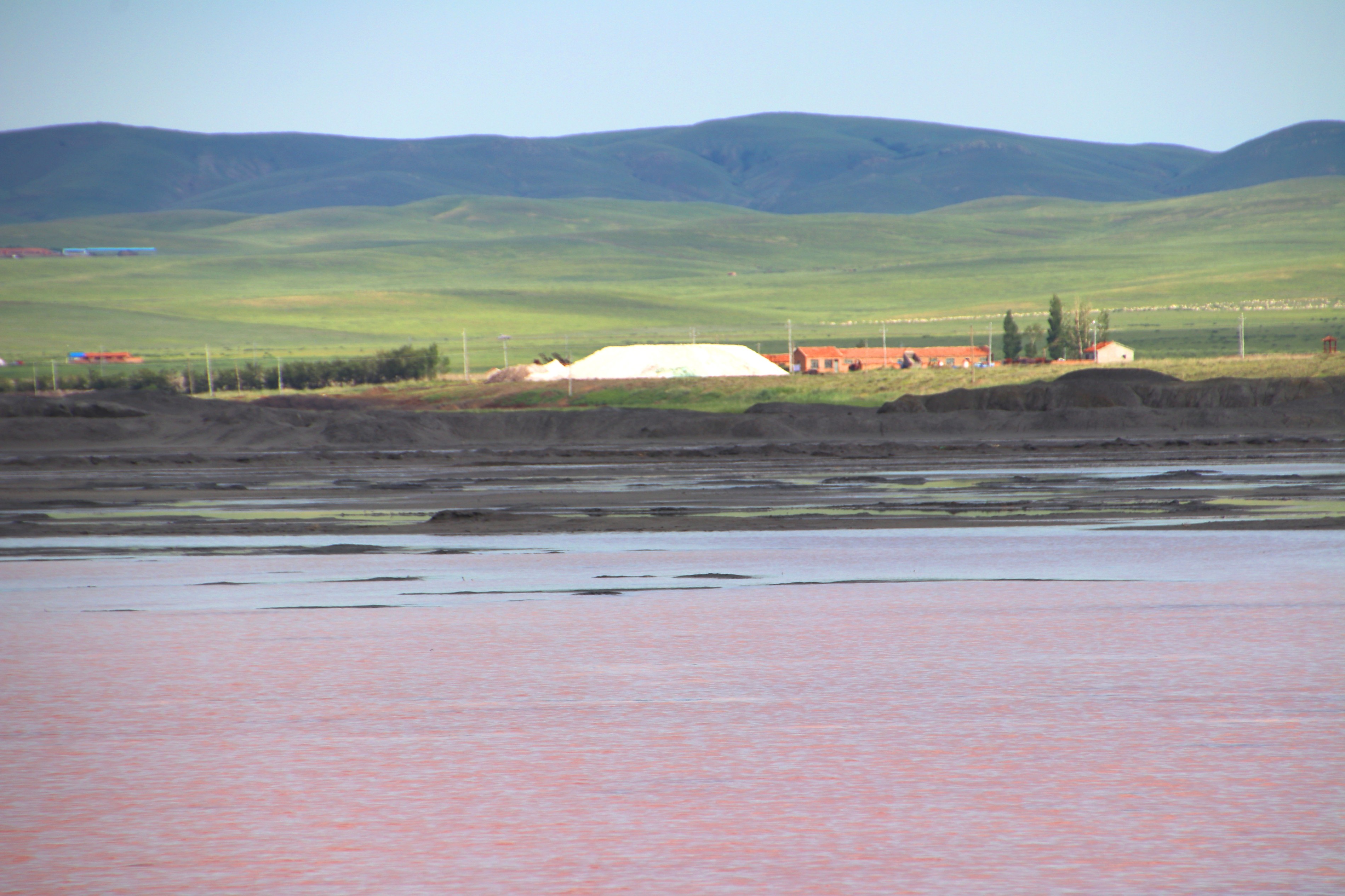 內蒙古額吉淖爾制鹽有限公司2021年動力燃煤采購項目成交公示