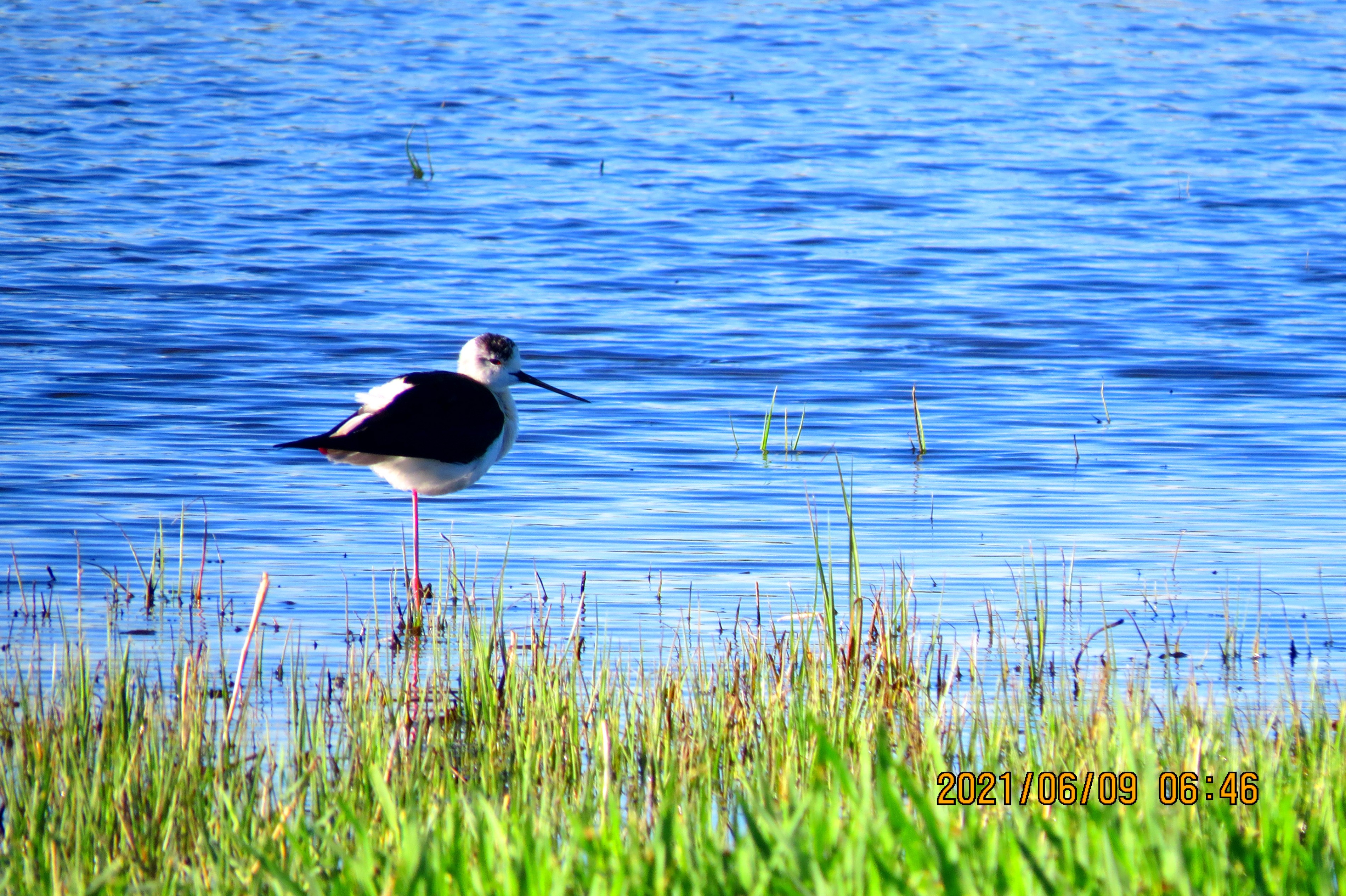 內(nèi)蒙古額吉淖爾制鹽有限公司呼和浩特白塔機(jī)場媒體廣告發(fā)布服務(wù)采購項目中標(biāo)公示